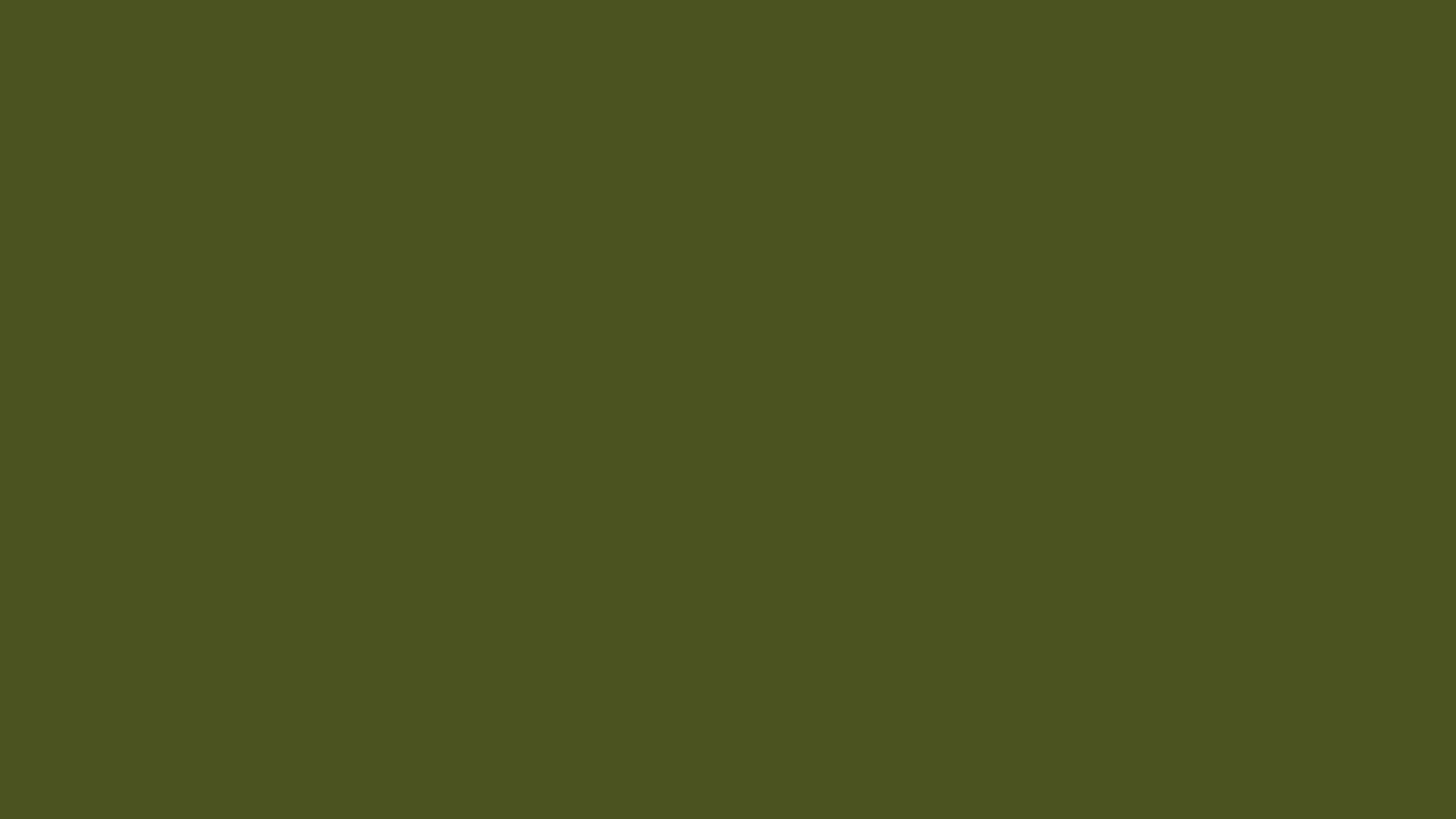 Army Green solid color background preview (#4B5320)