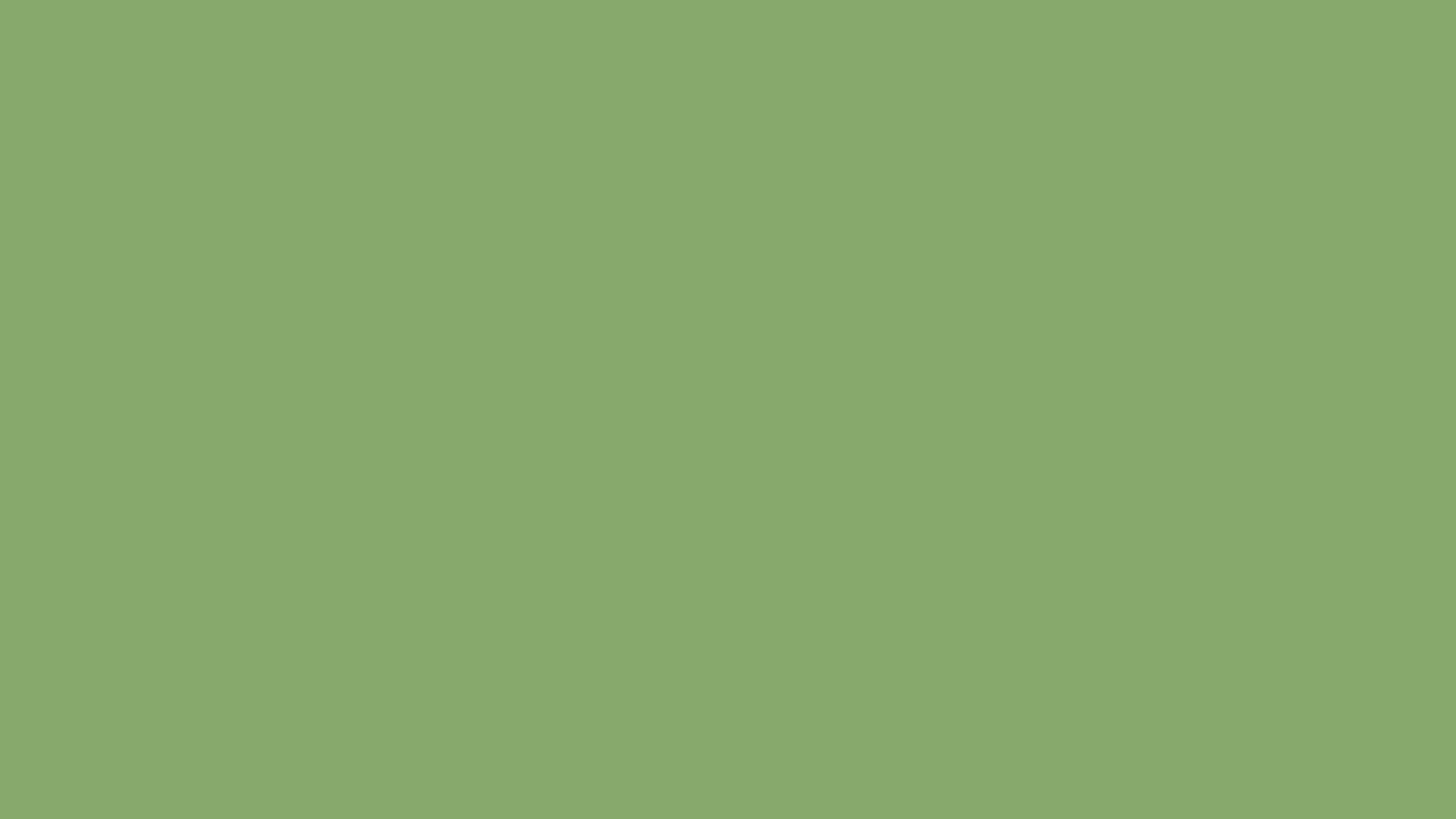 Asparagus solid color background preview (#87A96B)