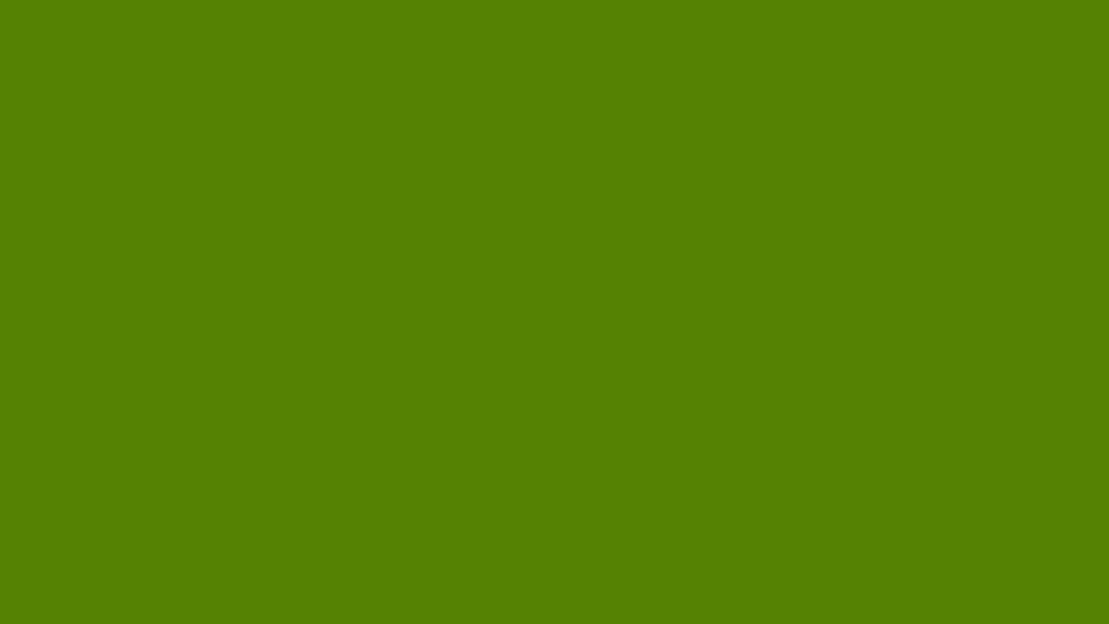 Avocado solid color background preview (#568203)