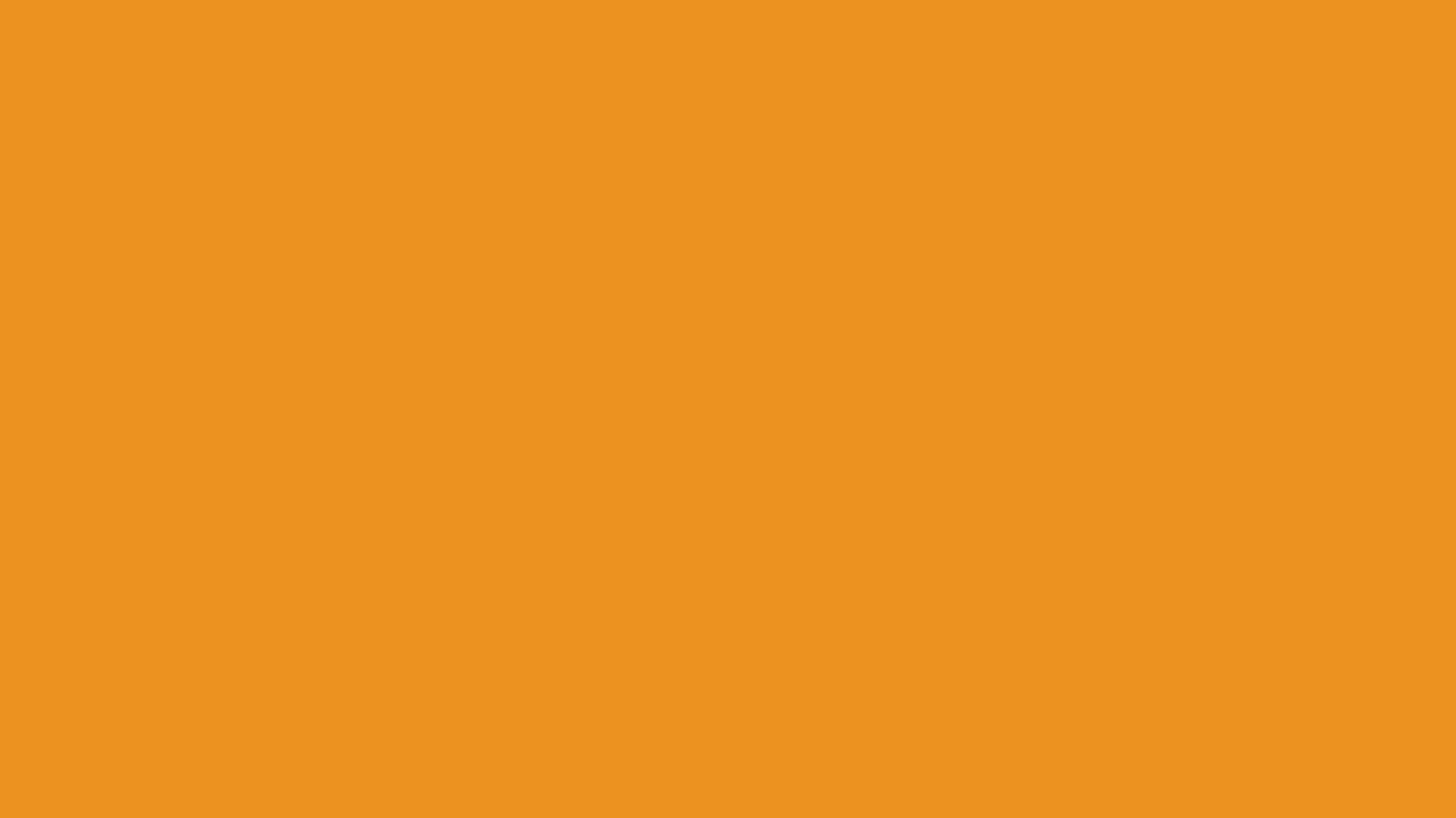 Carrot Orange solid color background preview (#ED9121)