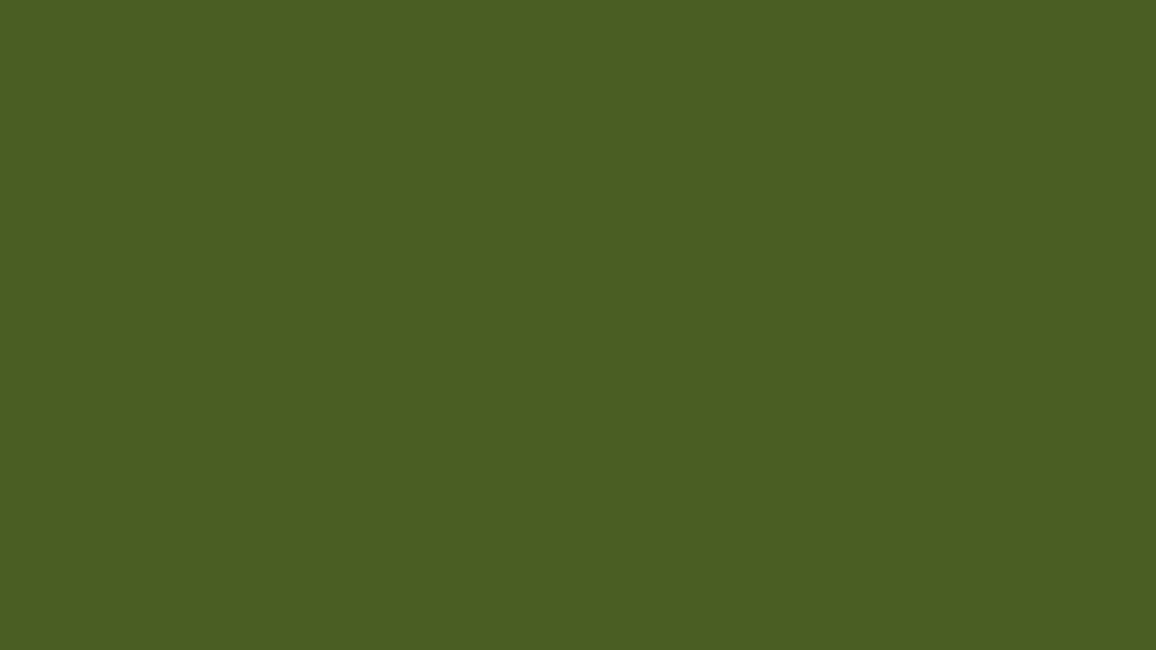 Dark Moss Green solid color background preview (#4A5D23)