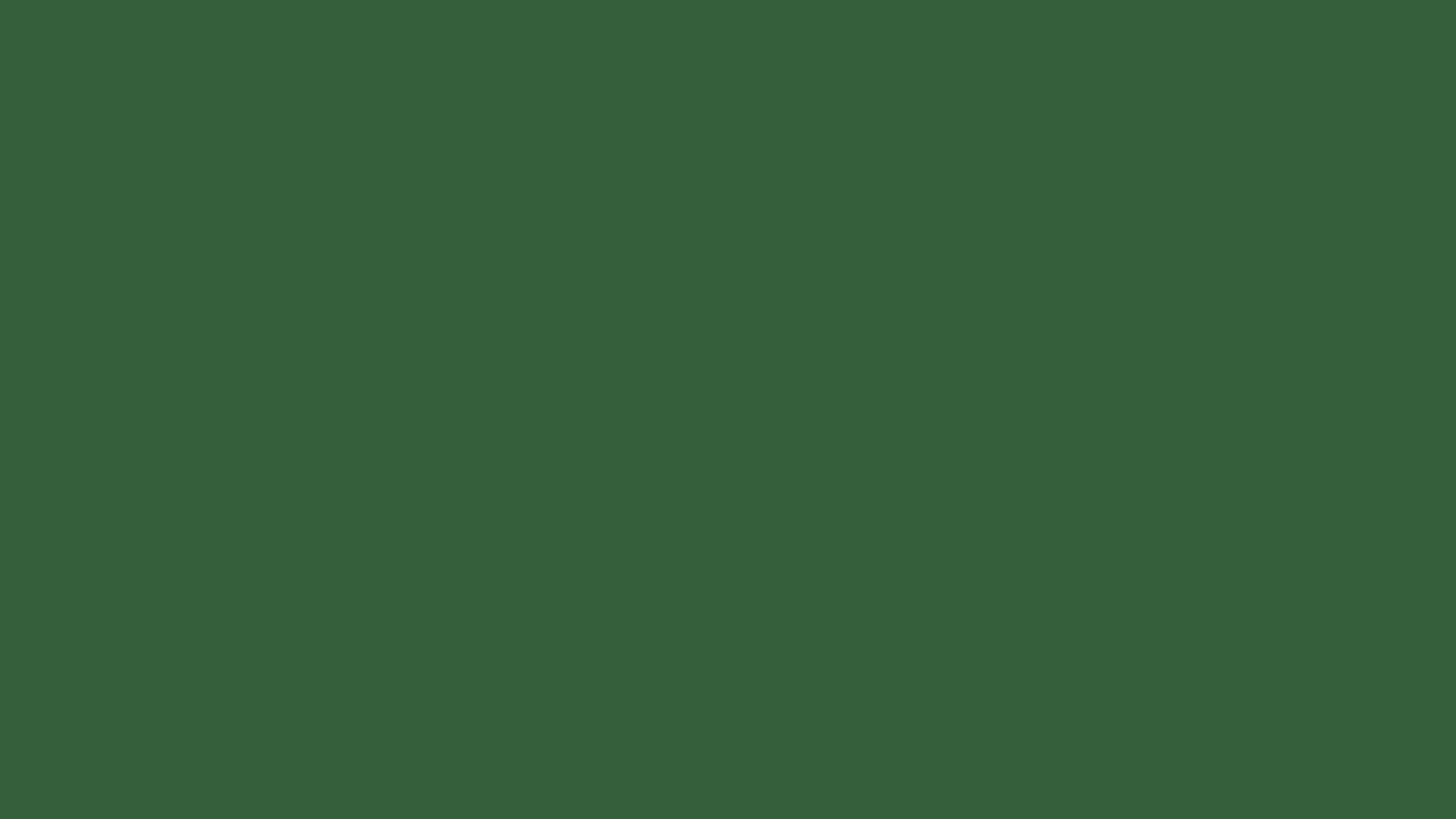 Deep Moss Green solid color background preview (#355E3B)