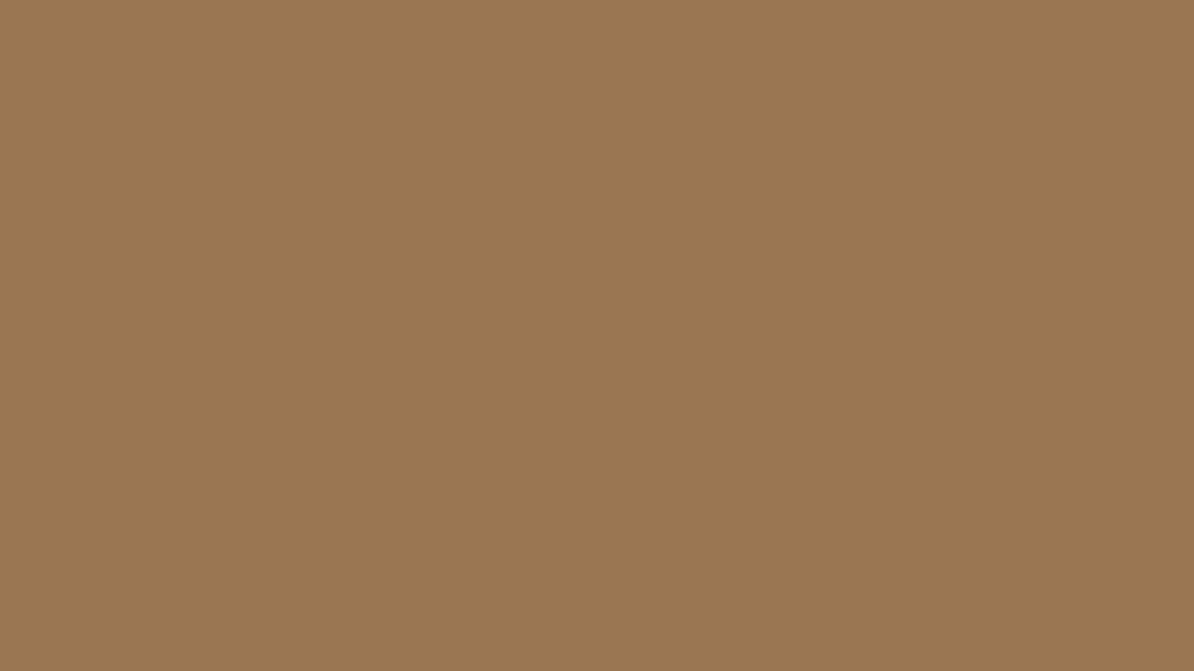 Dirt solid color background preview (#9B7653)