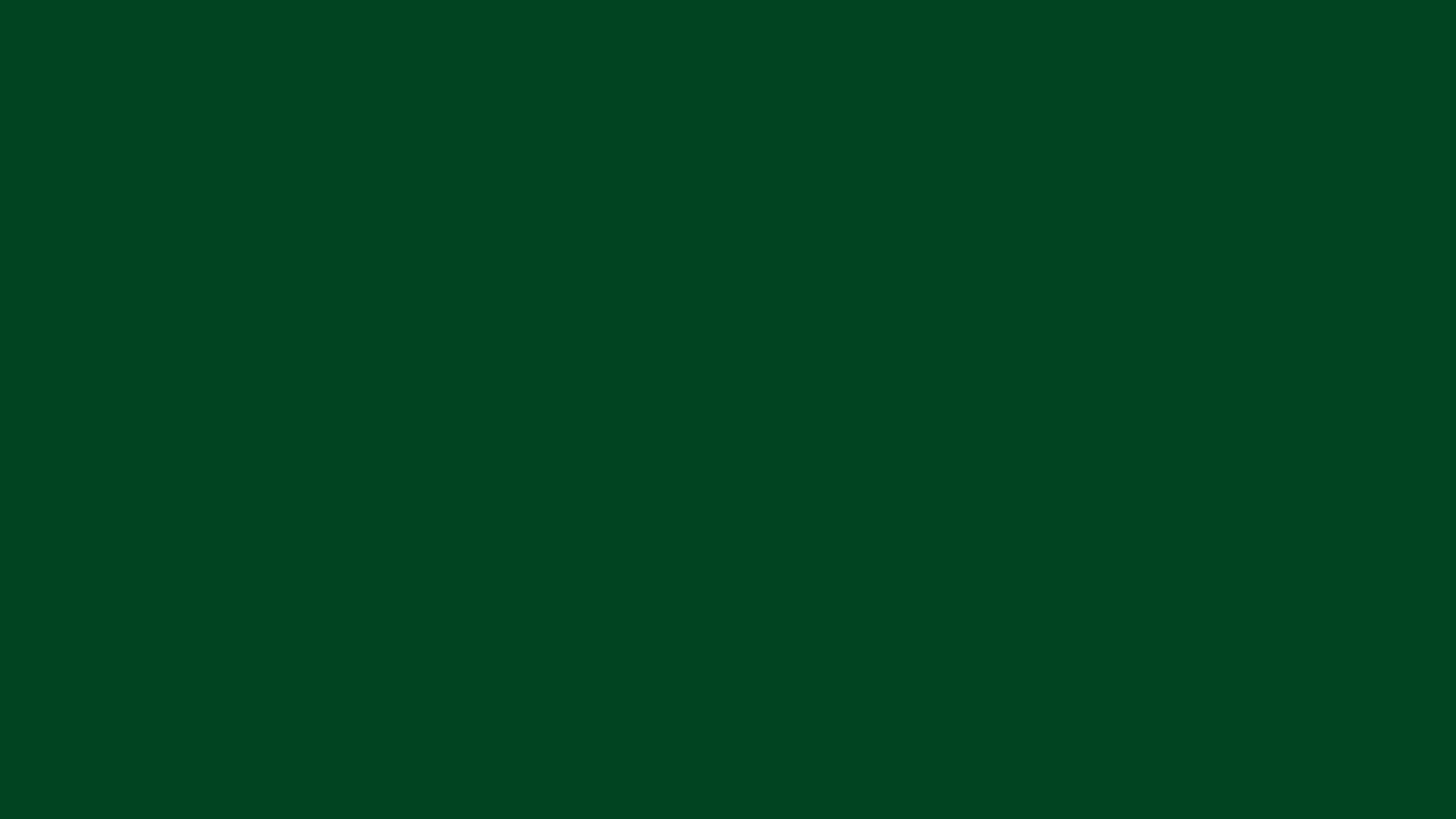Forest Green (Traditional) solid color background preview (#014421)