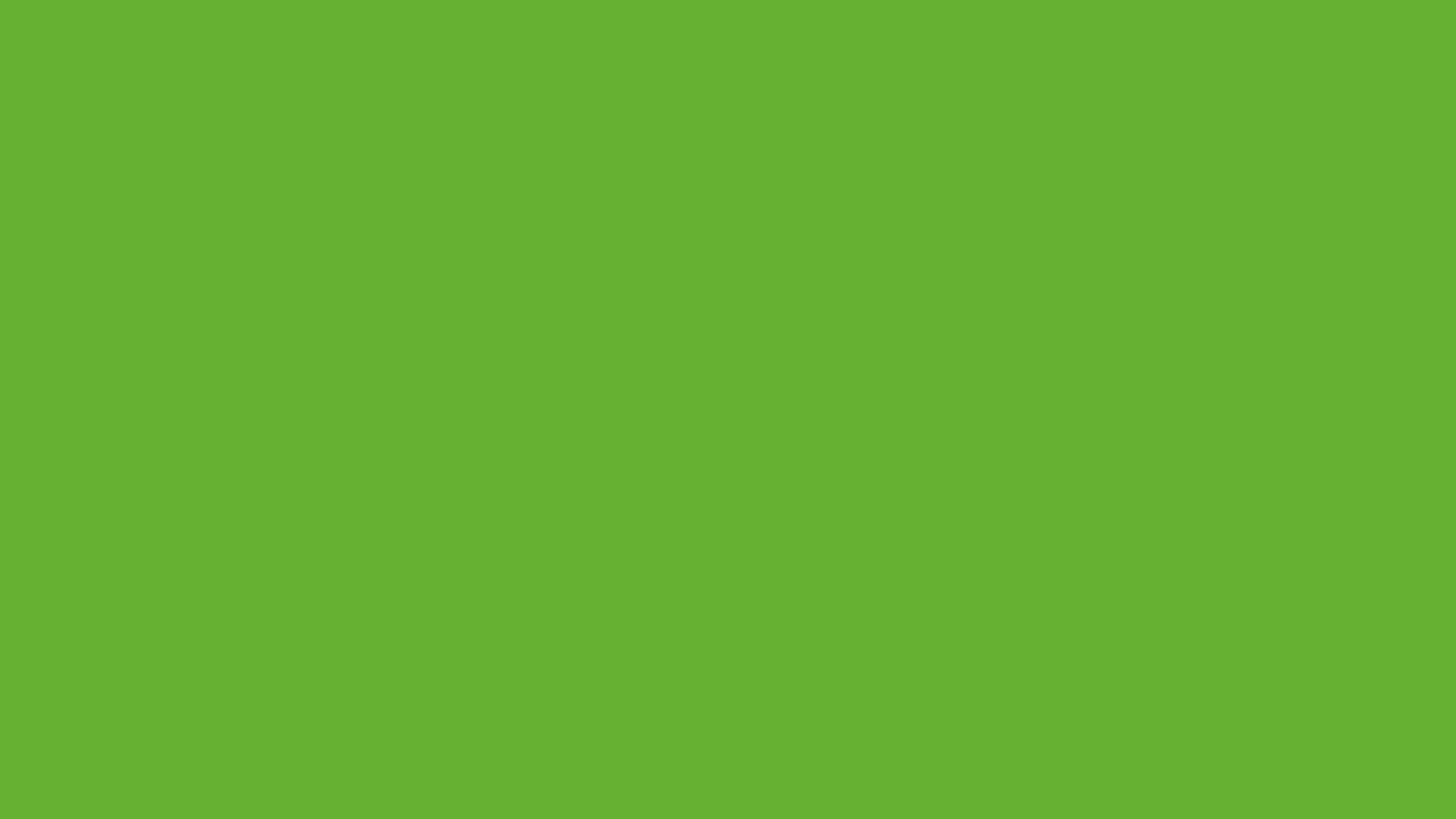 Green (Ryb) solid color background preview (#66B032)