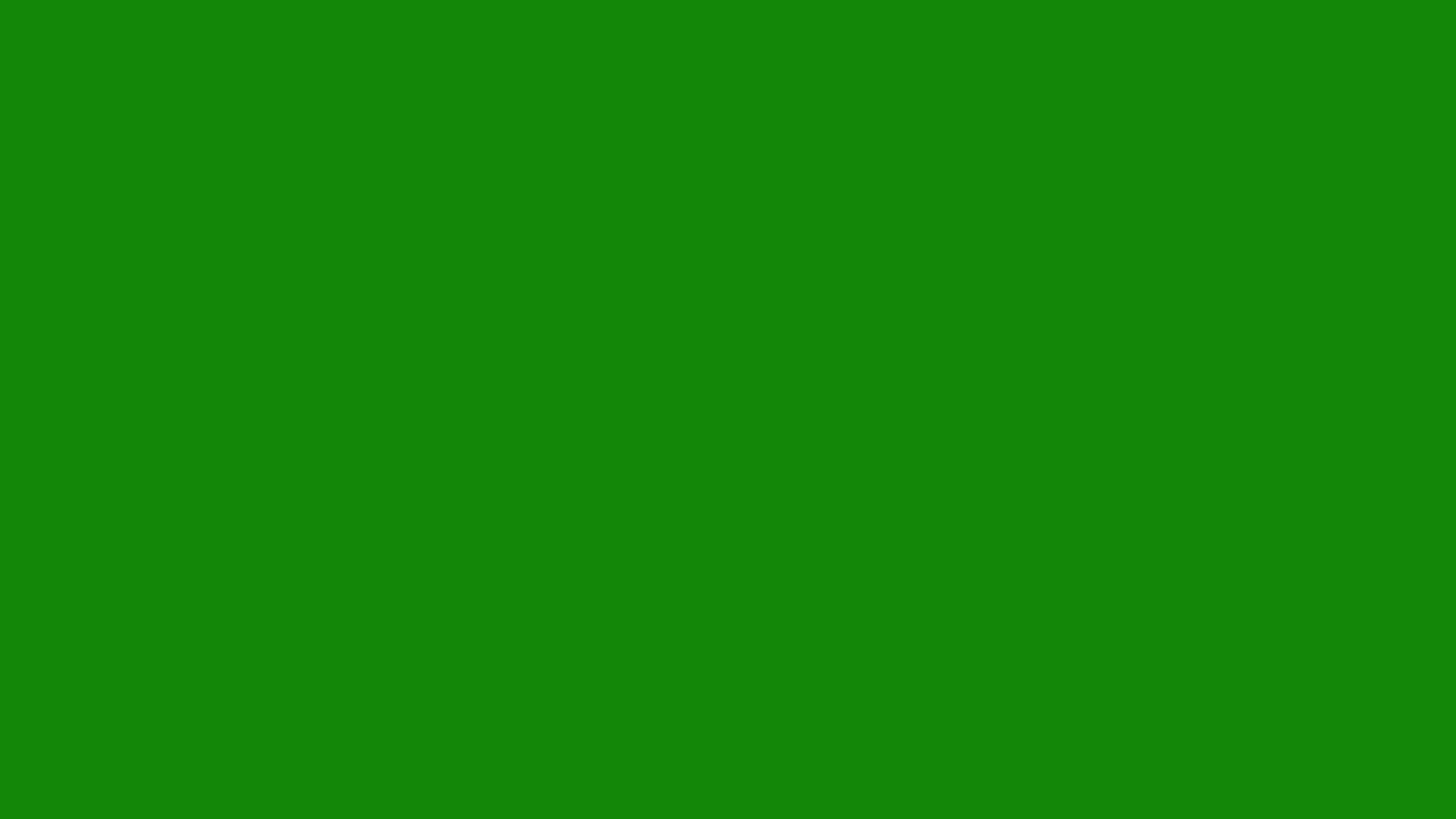 India Green solid color background preview (#138808)