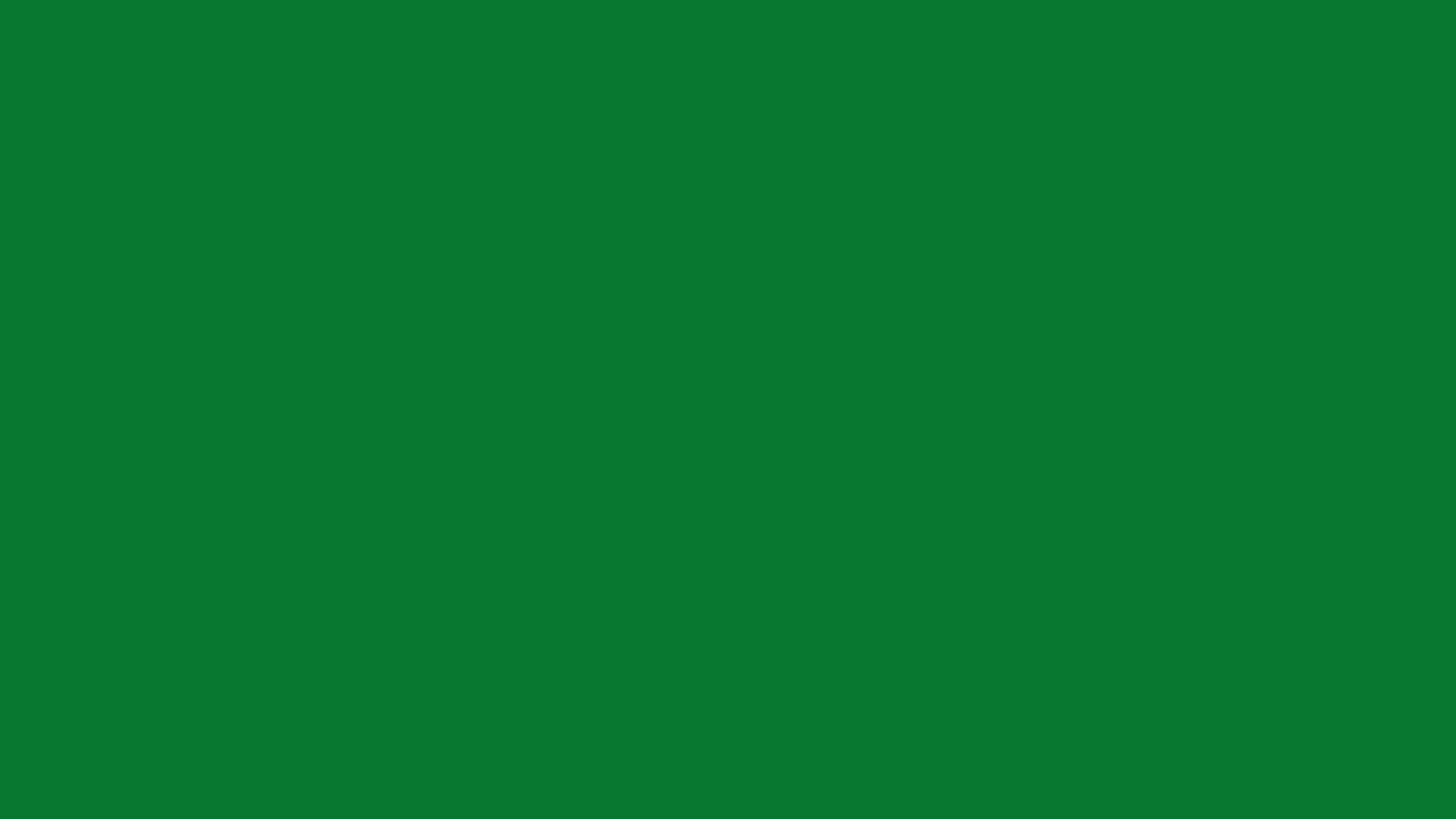 La Salle Green solid color background preview (#087830)