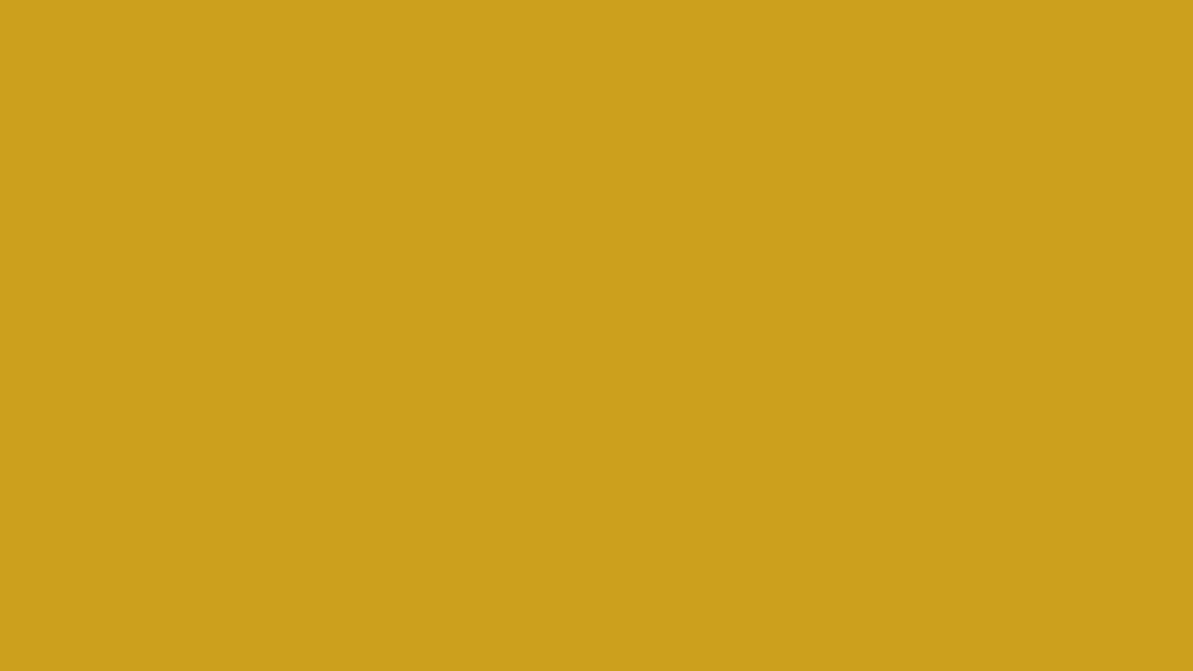 Lemon Curry solid color background preview (#CCA01D)