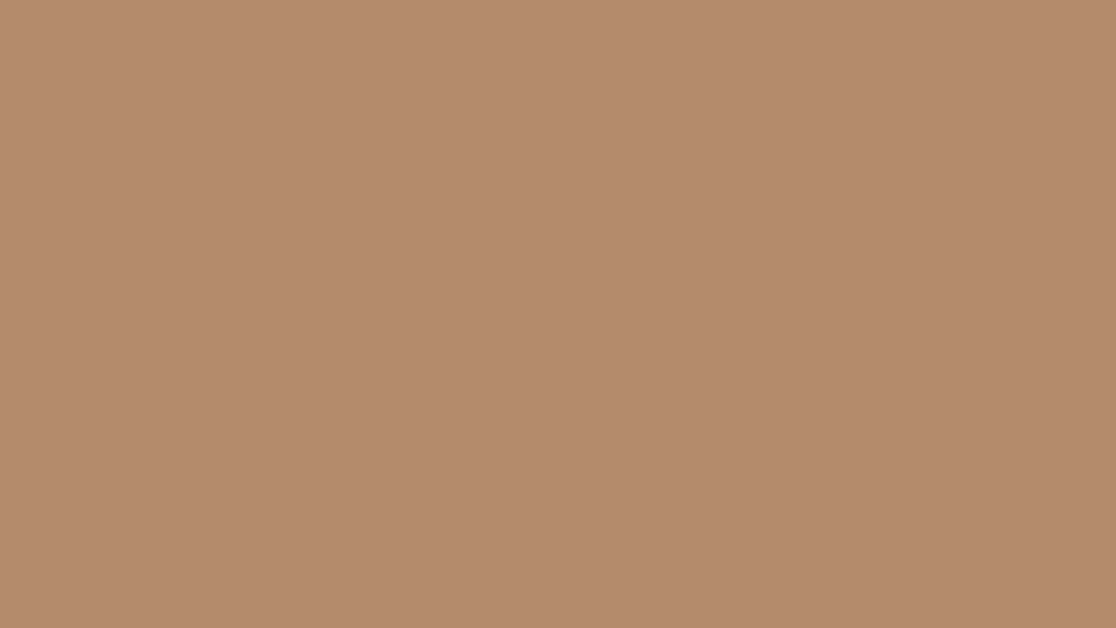 Light Taupe solid color background preview (#B38B6D)