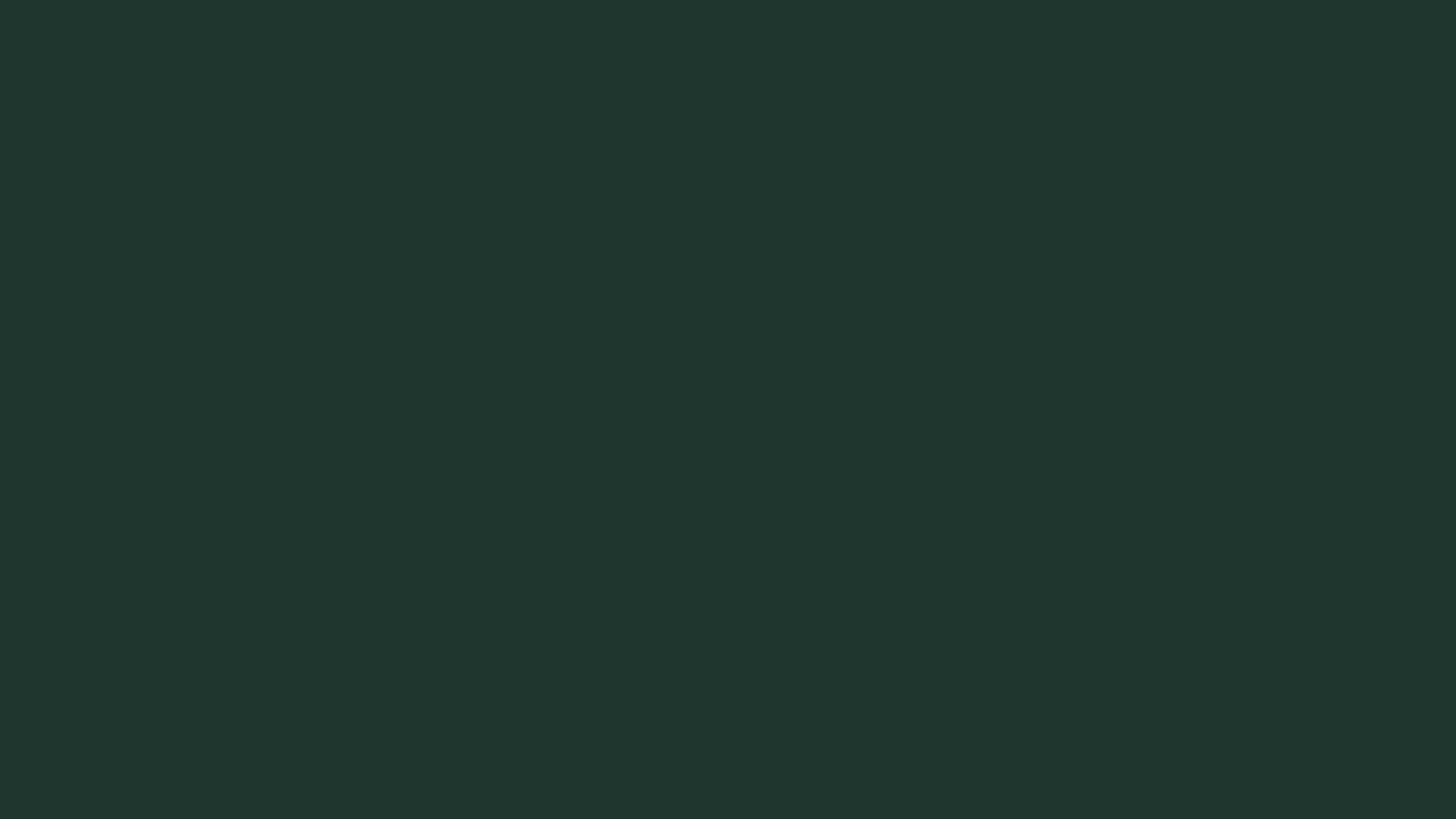 Medium Jungle Green solid color background preview (#1C352D)