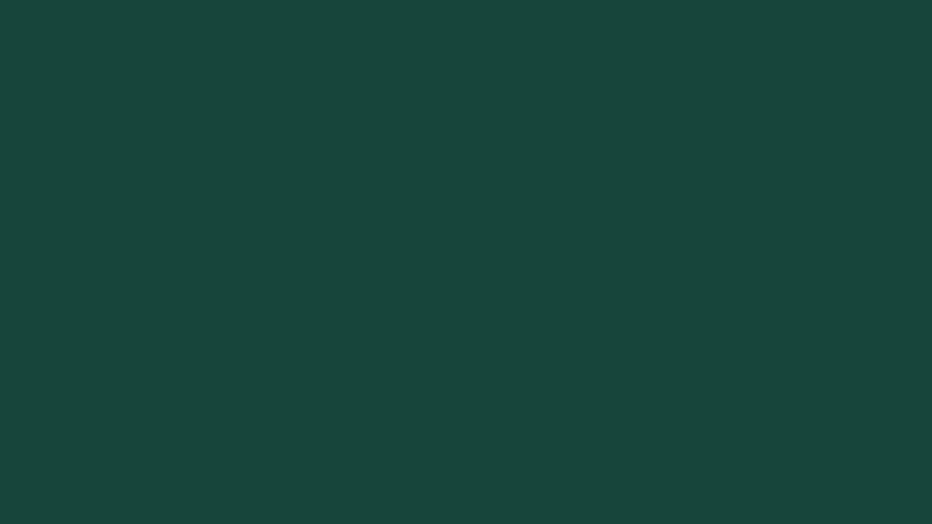 Msu Green solid color background preview (#18453B)