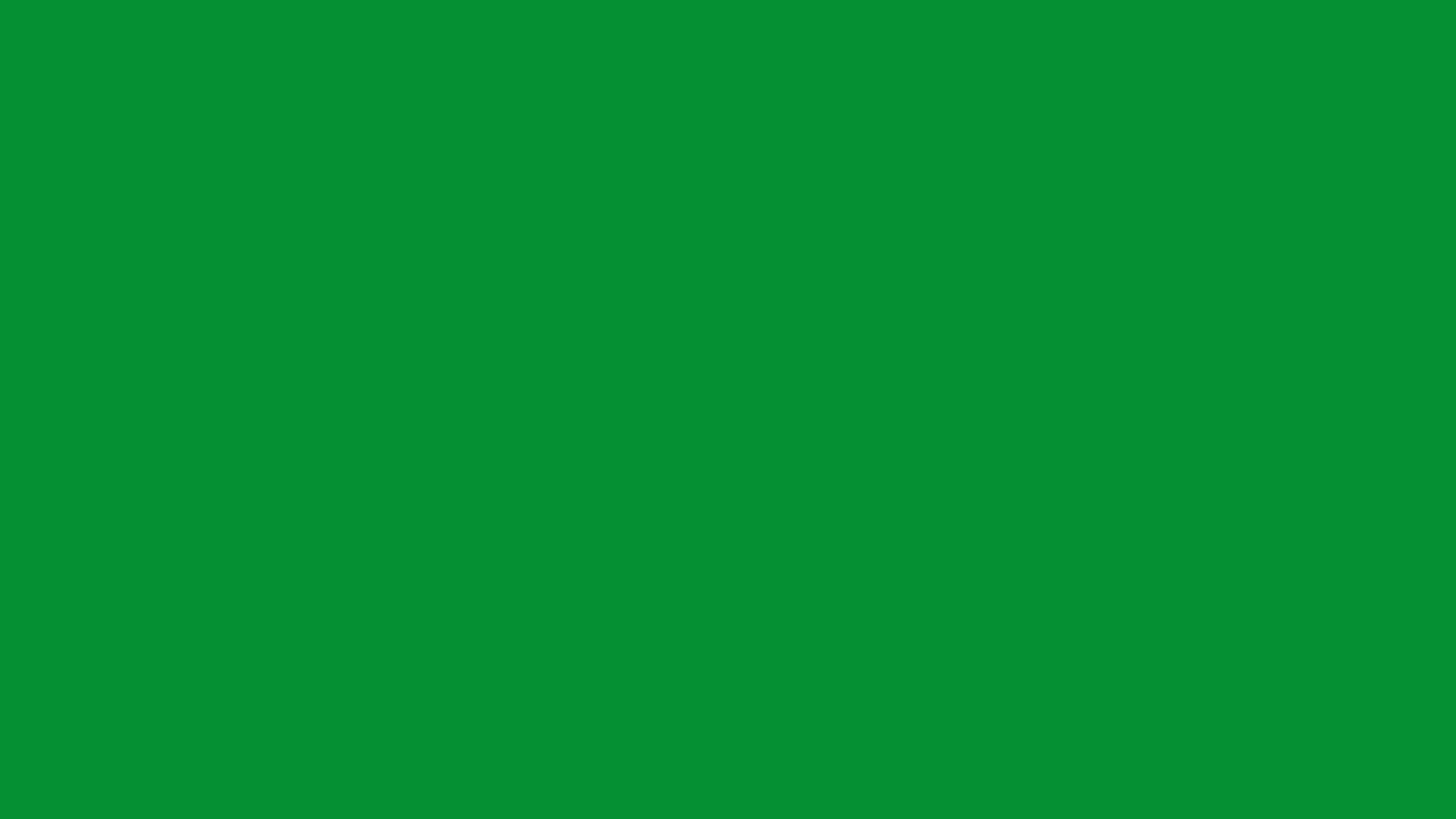 North Texas Green solid color background preview (#059033)