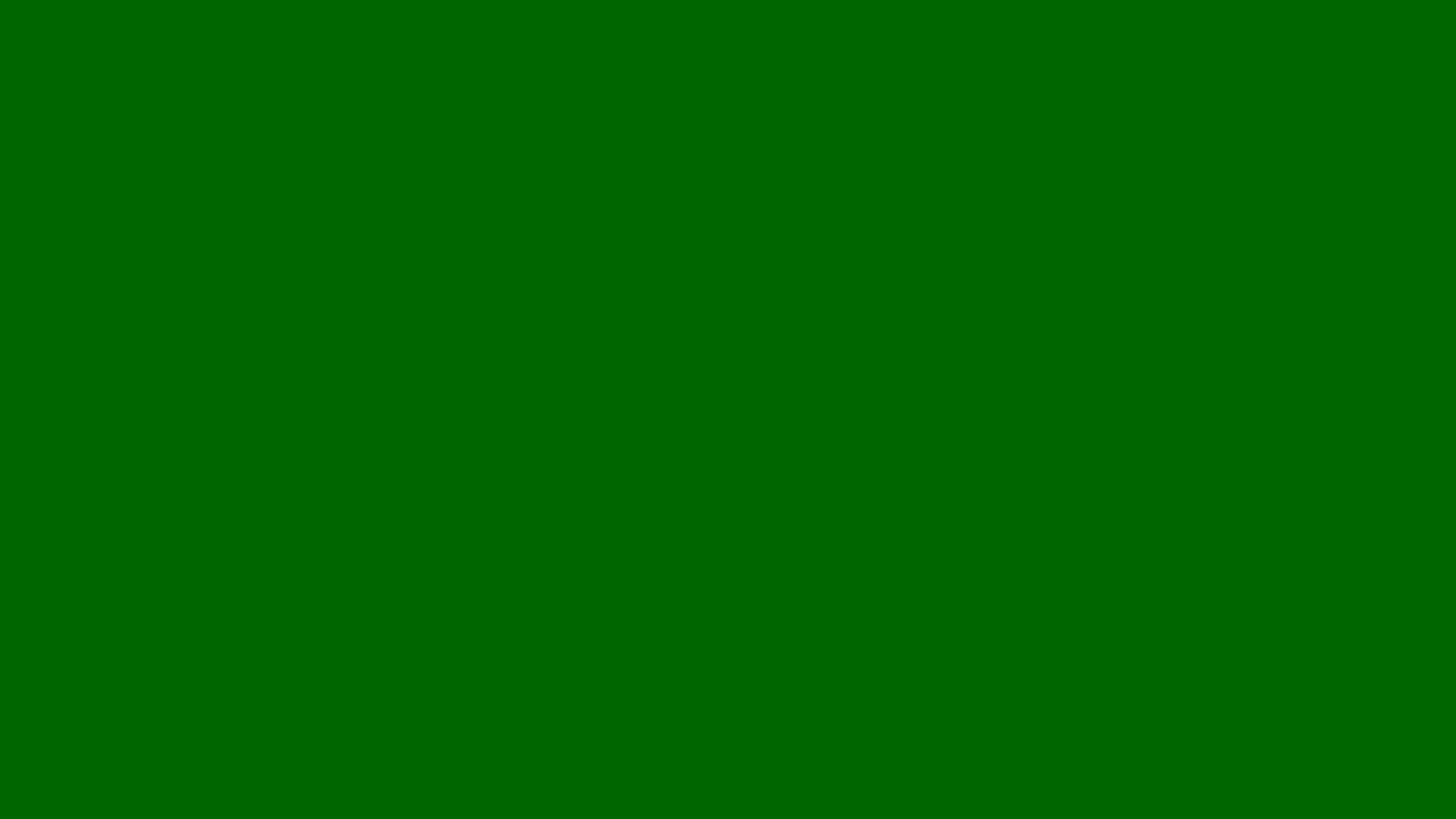 Pakistan Green solid color background preview (#006600)