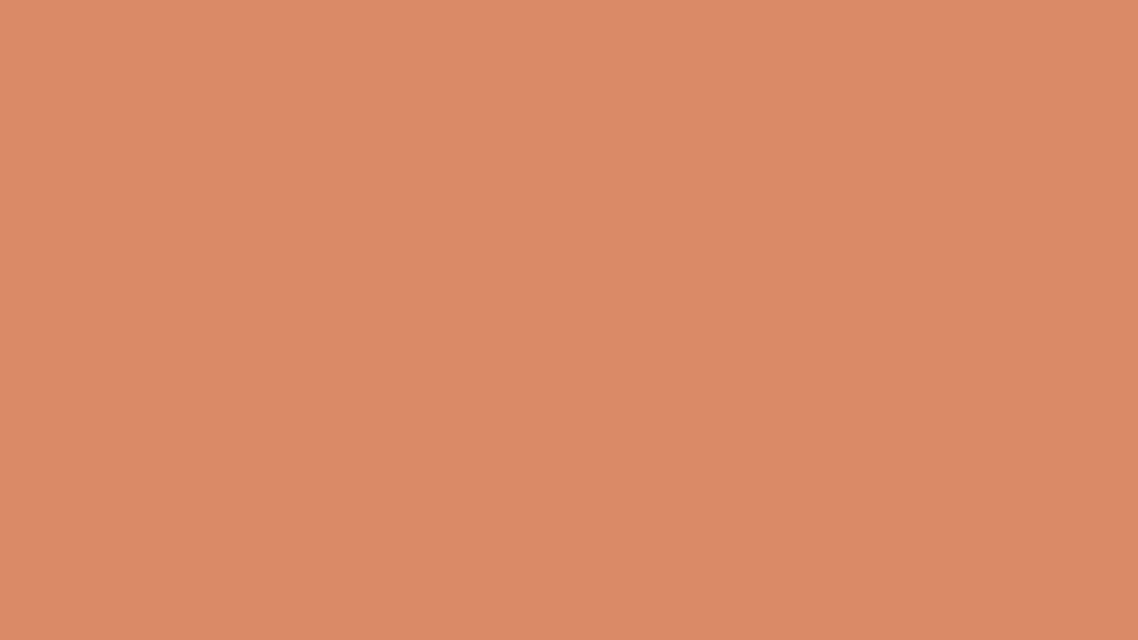 Pale Copper solid color background preview (#DA8A67)