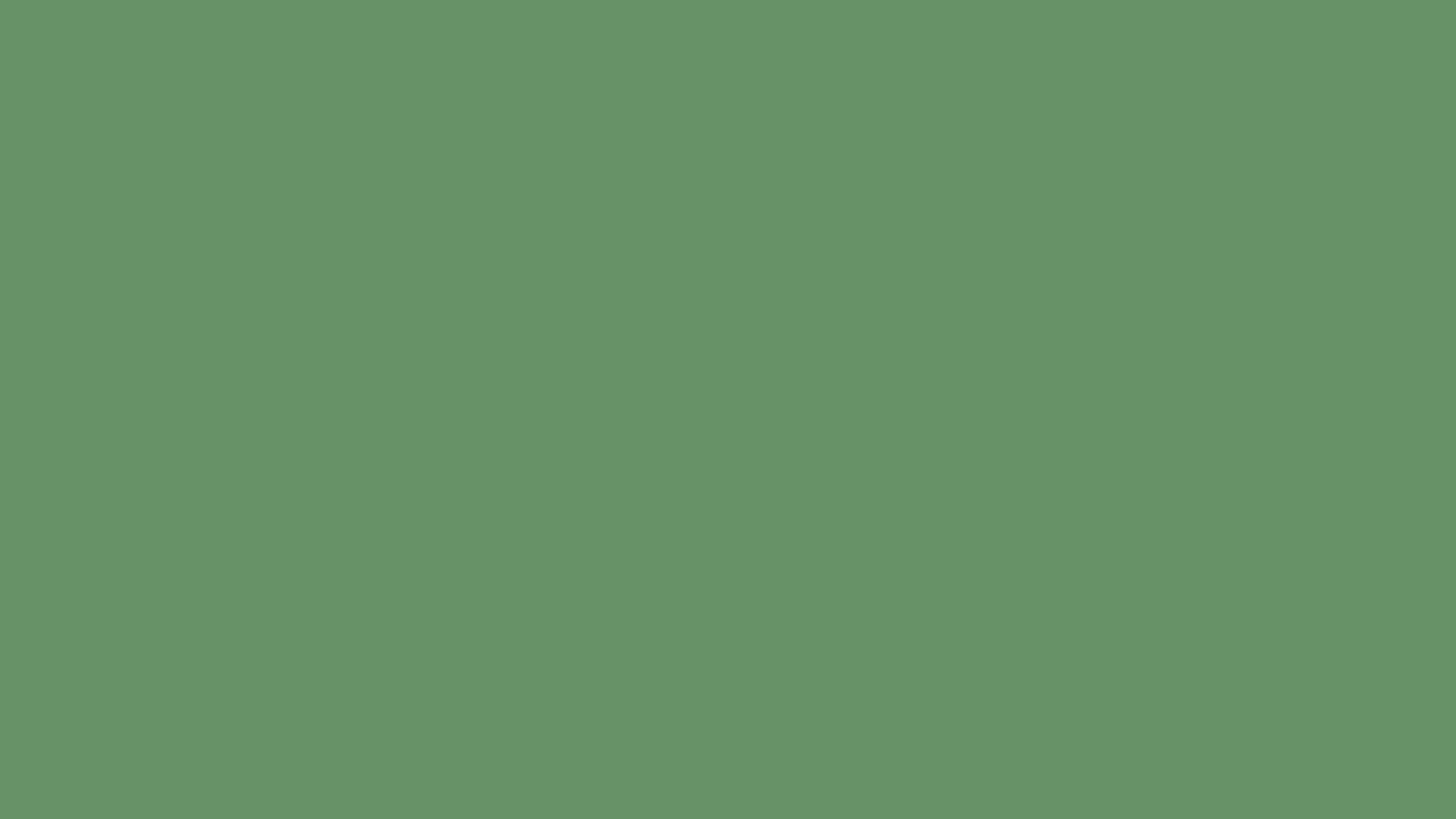 Russian Green solid color background preview (#679267)